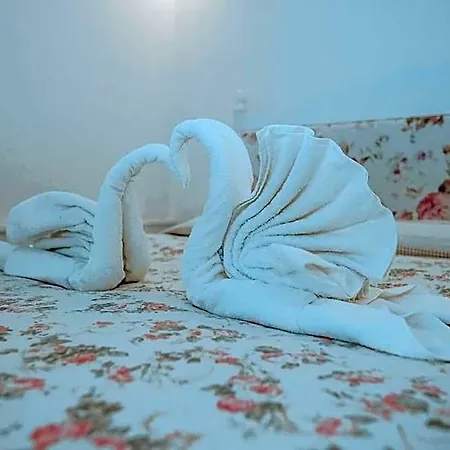 Patio Hotel 3*